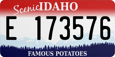 ID license plate E173576