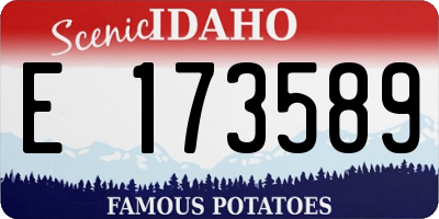 ID license plate E173589