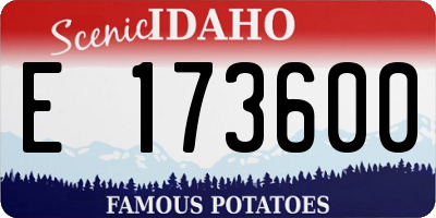 ID license plate E173600