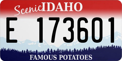 ID license plate E173601