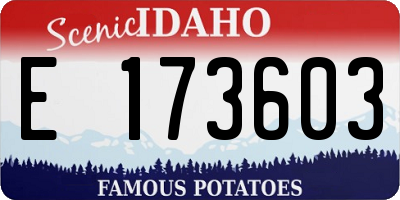 ID license plate E173603
