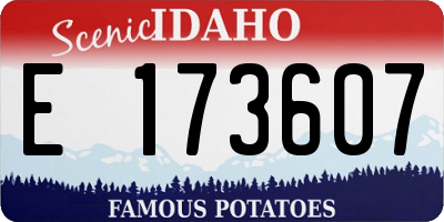 ID license plate E173607