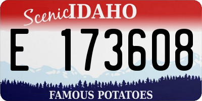 ID license plate E173608