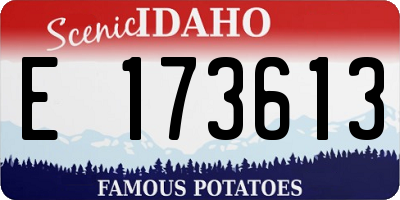 ID license plate E173613