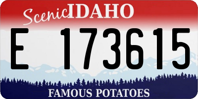ID license plate E173615