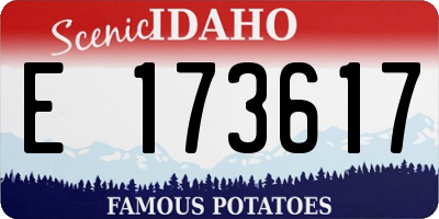 ID license plate E173617