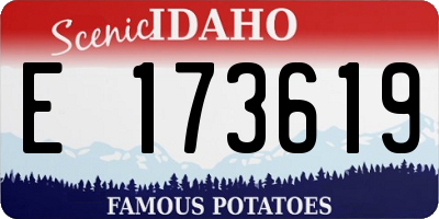 ID license plate E173619