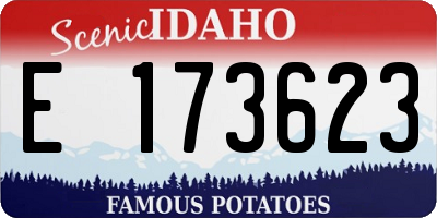 ID license plate E173623