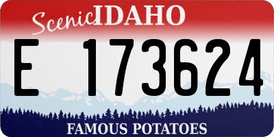 ID license plate E173624