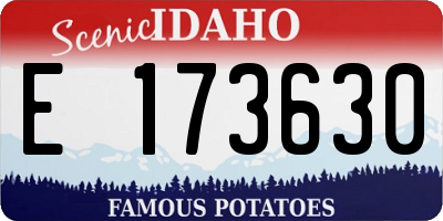 ID license plate E173630