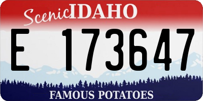 ID license plate E173647