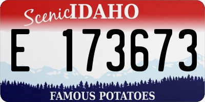 ID license plate E173673