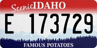 ID license plate E173729