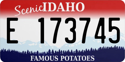ID license plate E173745