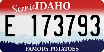 ID license plate E173793