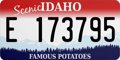 ID license plate E173795