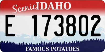 ID license plate E173802