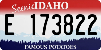 ID license plate E173822