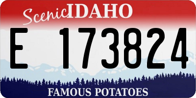 ID license plate E173824