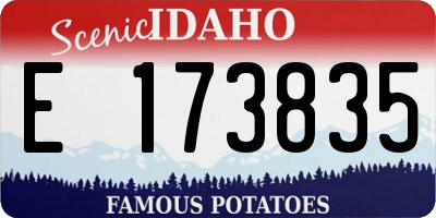 ID license plate E173835