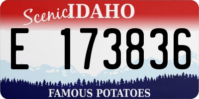 ID license plate E173836