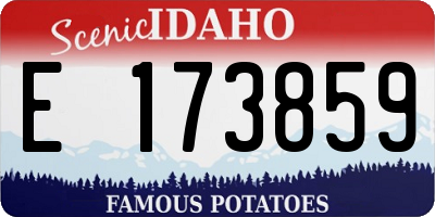 ID license plate E173859