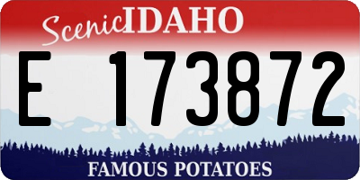 ID license plate E173872