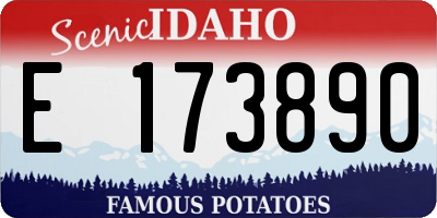ID license plate E173890