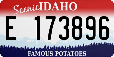 ID license plate E173896