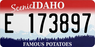 ID license plate E173897
