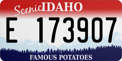 ID license plate E173907
