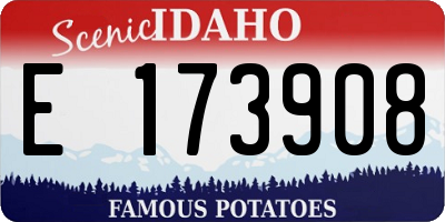 ID license plate E173908
