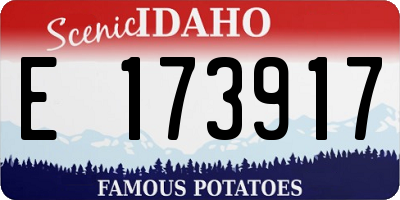ID license plate E173917