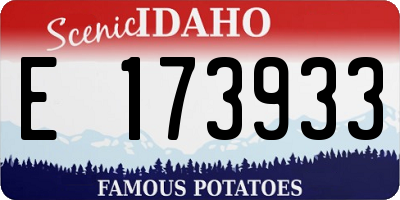 ID license plate E173933