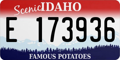 ID license plate E173936