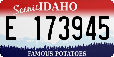 ID license plate E173945