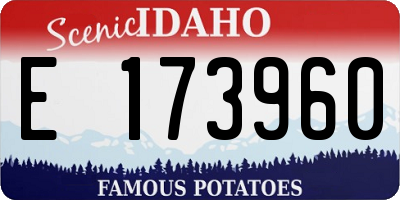 ID license plate E173960