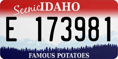 ID license plate E173981