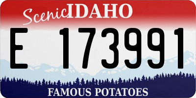 ID license plate E173991