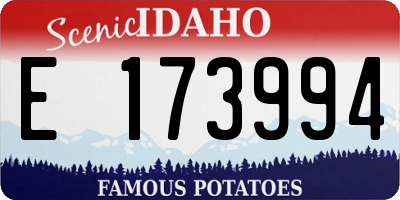 ID license plate E173994