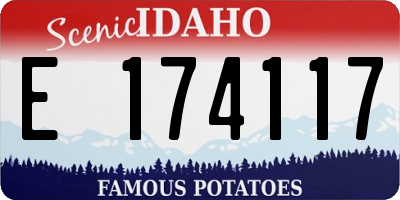 ID license plate E174117