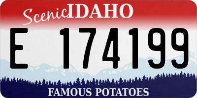 ID license plate E174199