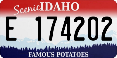 ID license plate E174202