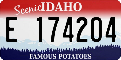 ID license plate E174204