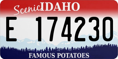 ID license plate E174230