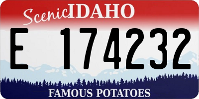 ID license plate E174232