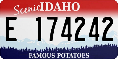ID license plate E174242