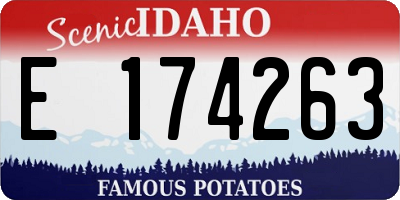 ID license plate E174263