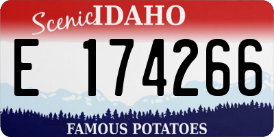 ID license plate E174266