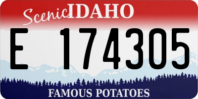 ID license plate E174305